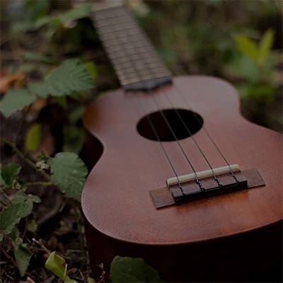 UKULELE SONG CIRCLE